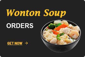 wonton soup